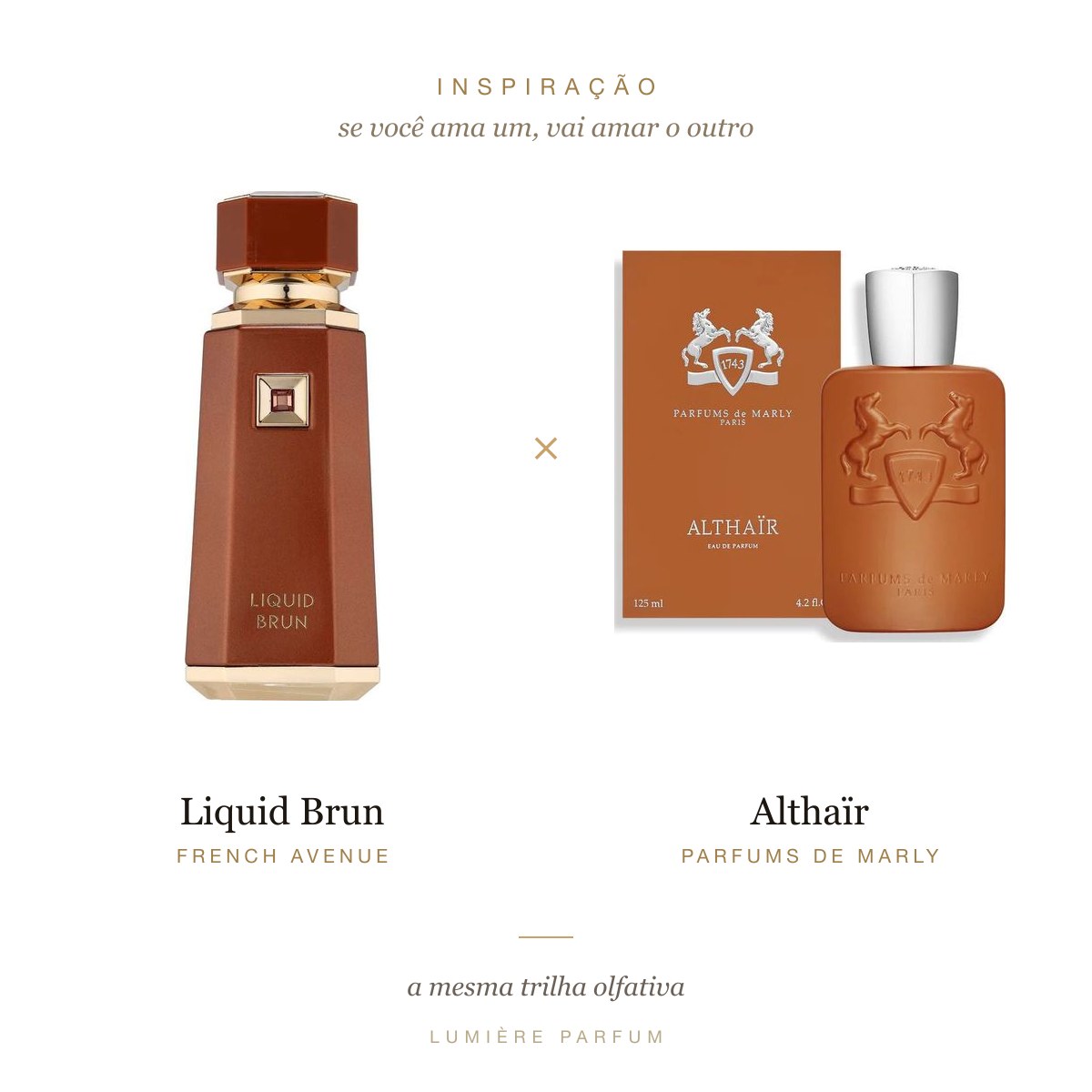 French Avenue Liquid Brun — inspiração